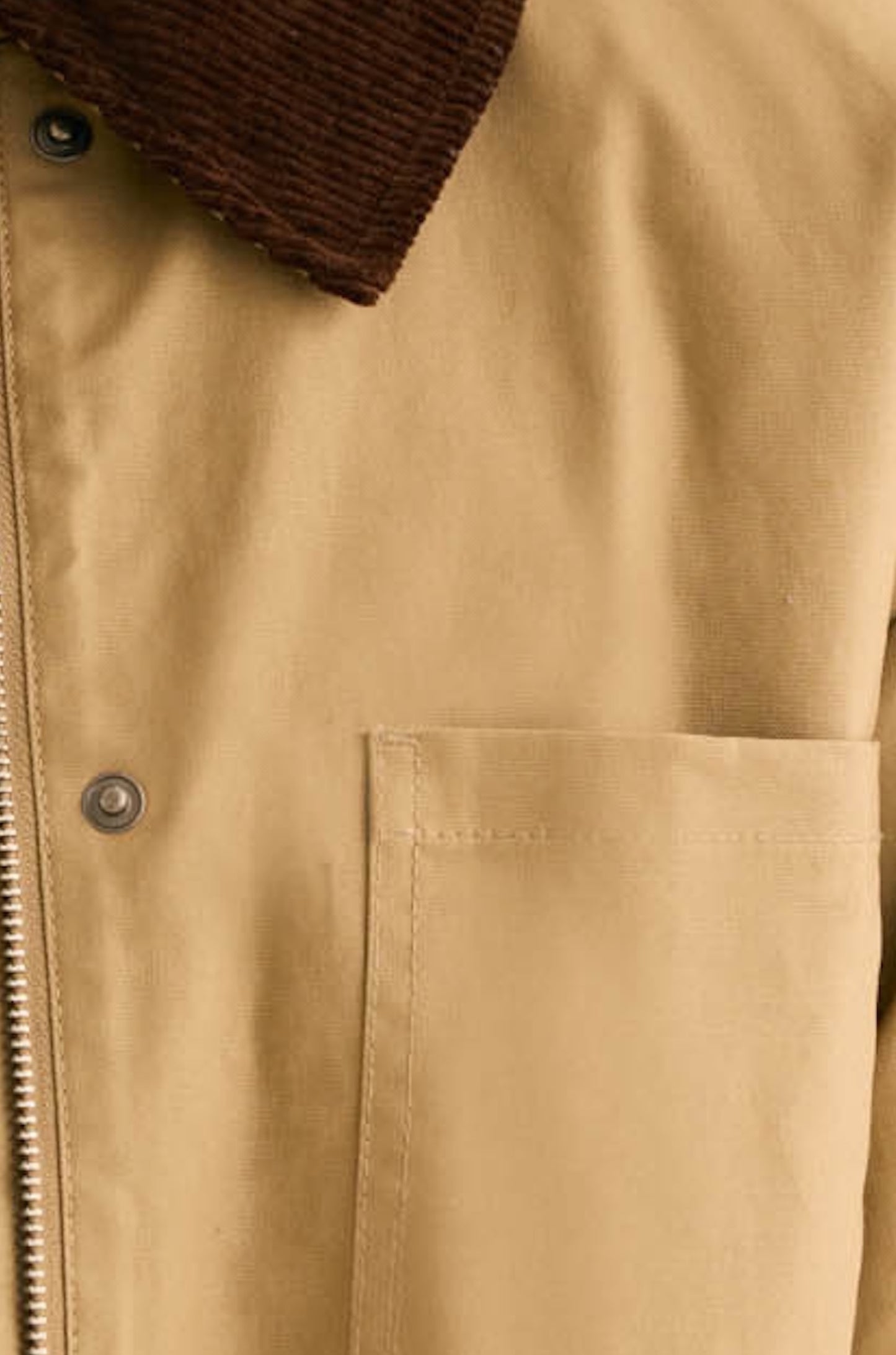 Chaqueta BIARRITZ Beige - BIMANI